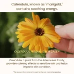 FarmStay Calendula Relief Cream, 80 ml - Image 3