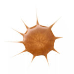 ESSENCE DROP OF sunshine HIGHLIGHTING DROPS 25ml - Image 3