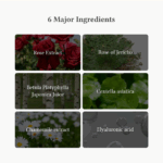 Dr.Althea Oasis Soothing Mask 27gr - Image 4