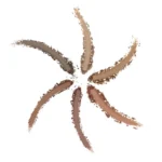 MUA SANDSTORM SHADE & SCULPT POWDER 15g - Image 3