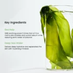 Biodance Refreshing Sea Kelp Real Deep Mask 34g - Image 4