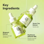 Beauty Of Joseon Calming Serum Green Tea + Panthenol 30ml - Image 4
